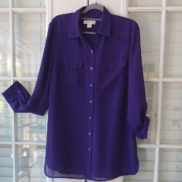 Coldwater Creek Sheer Tunic - Picture 1 of 9